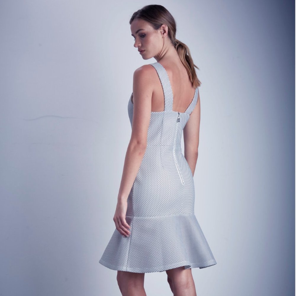 Shilla mesh dress in black/white